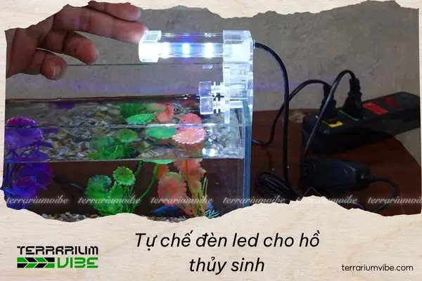 Tự Chế Đèn Led Cho Hồ Thủy Sinh
