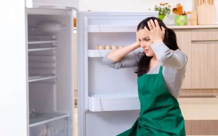 Tủ Lạnh Không Chạy Đèn Không Sáng