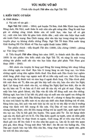 Tức Nước Vỡ Bờ Trích Tắt Đèn