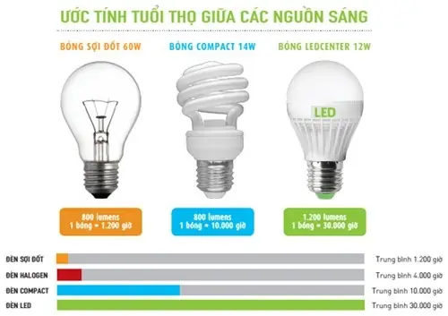Tuổi Thọ Bóng Đèn Led 1m2