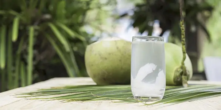 Uống Nước Dừa Vào Ngày Đèn Đỏ
