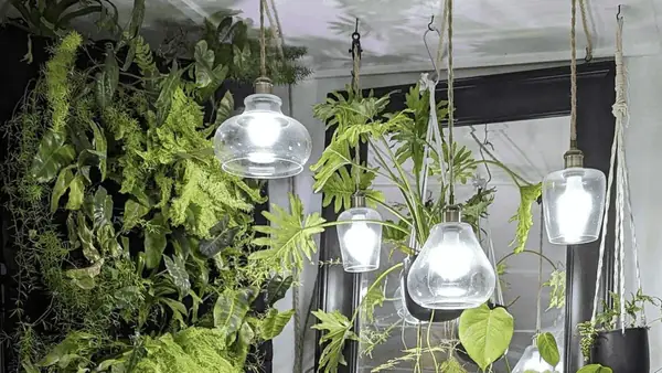 Vì Sao Người Ta Thường Dùng Đèn Huỳnh Quang