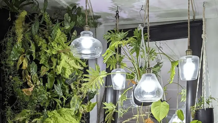 Vì Sao Người Ta Thường Dùng Đèn Huỳnh Quang
