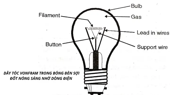 Vì Sao Vonfram Được Dùng Làm Dây Tóc Bóng Đèn